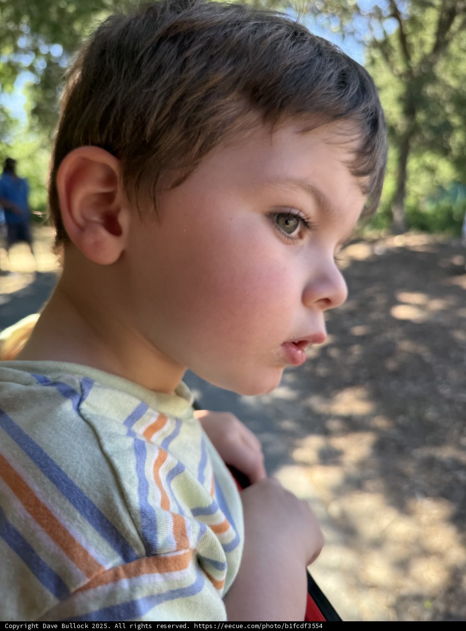 Captivated by Nature