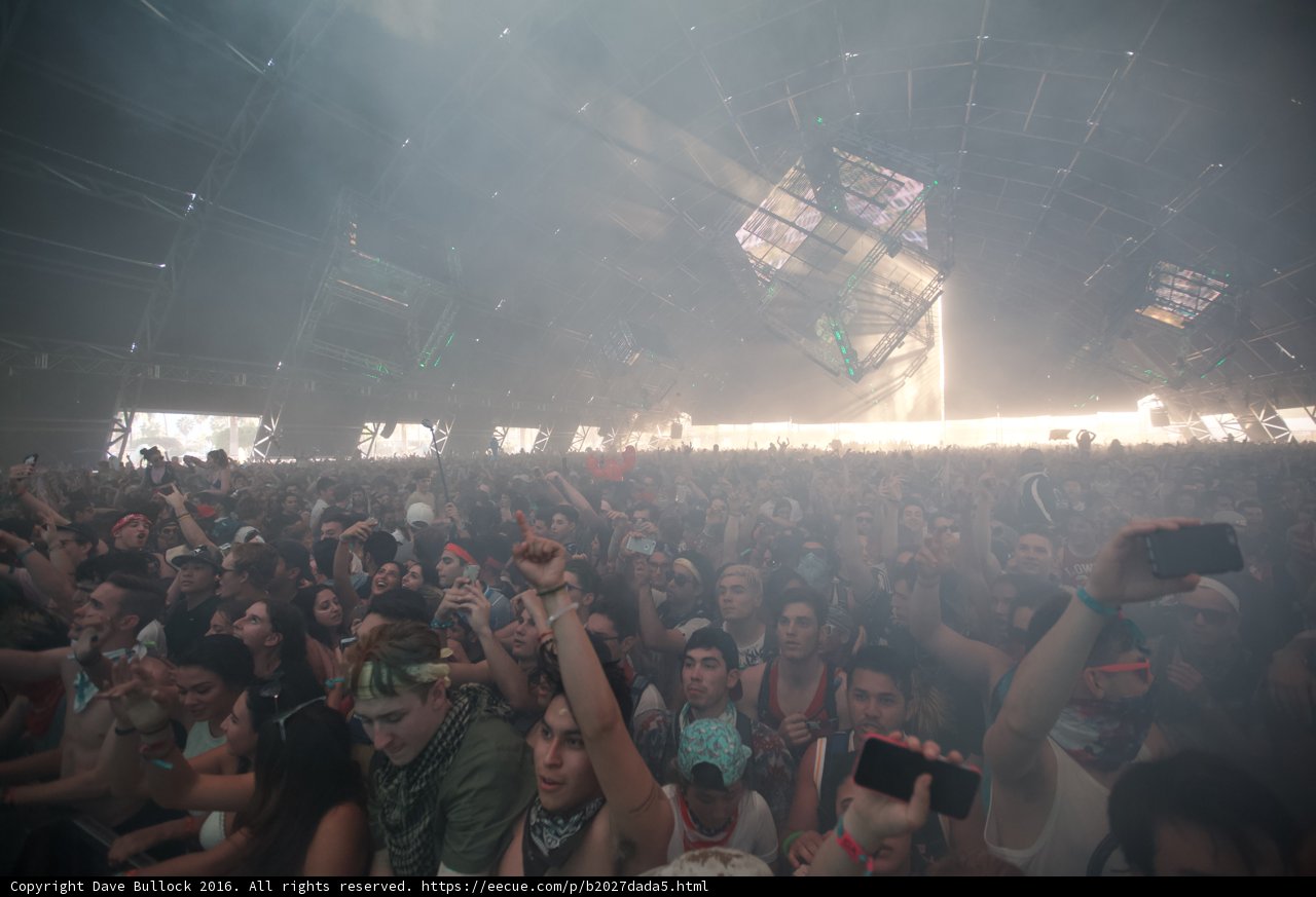 Music Festival Madness