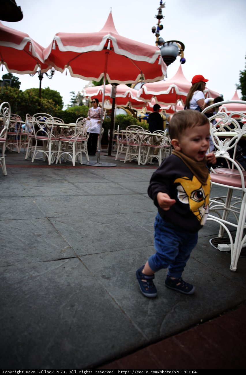 Strolling Through Disneyland Adventure