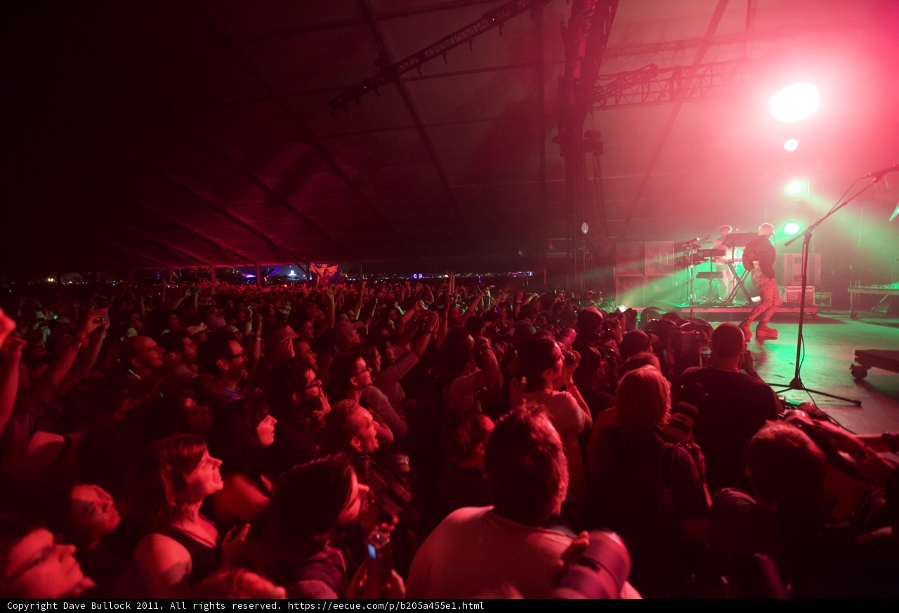 Red Hot Crowd at Coachella