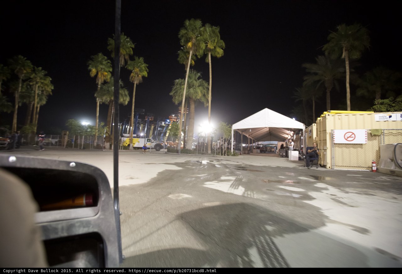 Nighttime Oasis