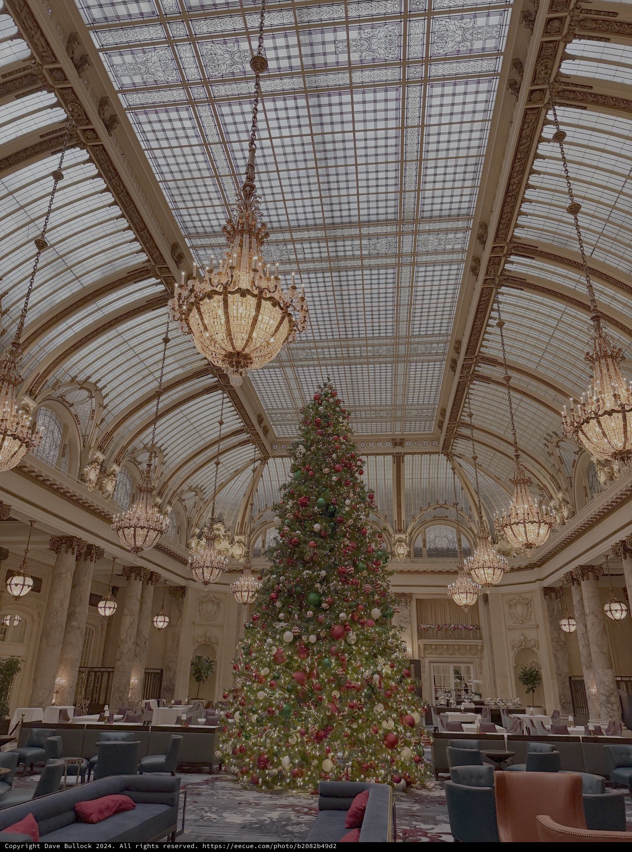 Magnificent Christmas Tree in Grand Hotel Ballroom