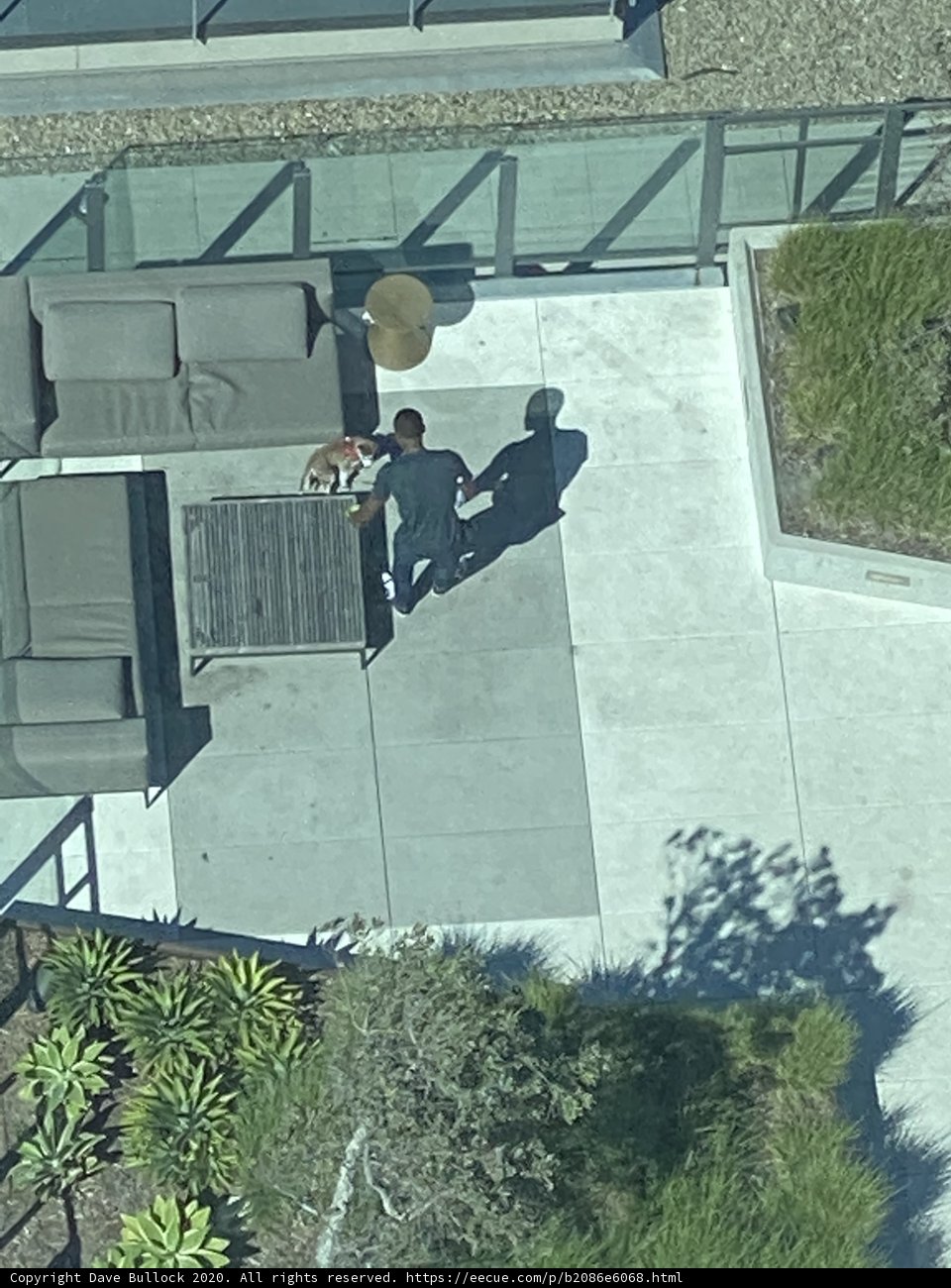 Man and Dog Enjoying the Outdoors in San Francisco