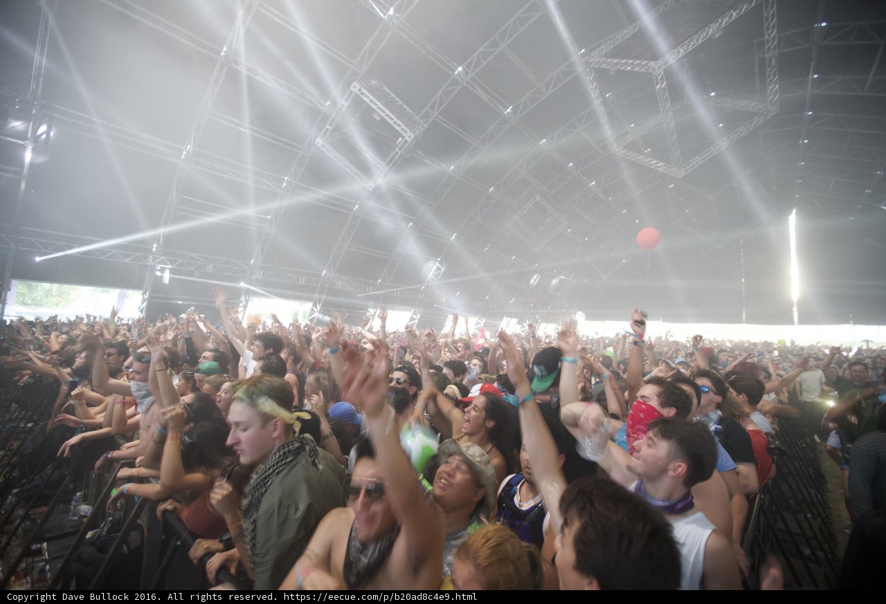 Euphoric Sunday Crowd