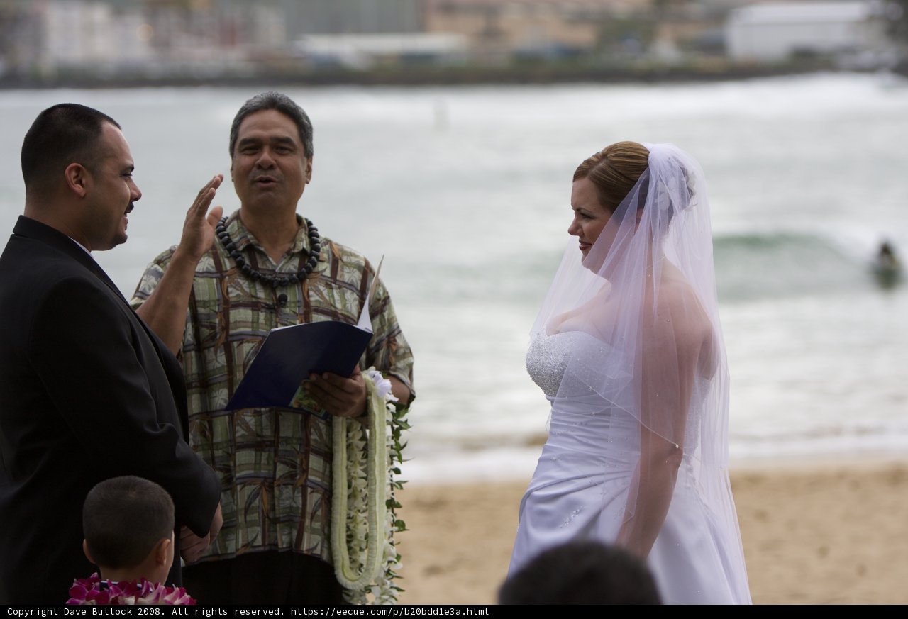 A Beachside Wedding Celebration