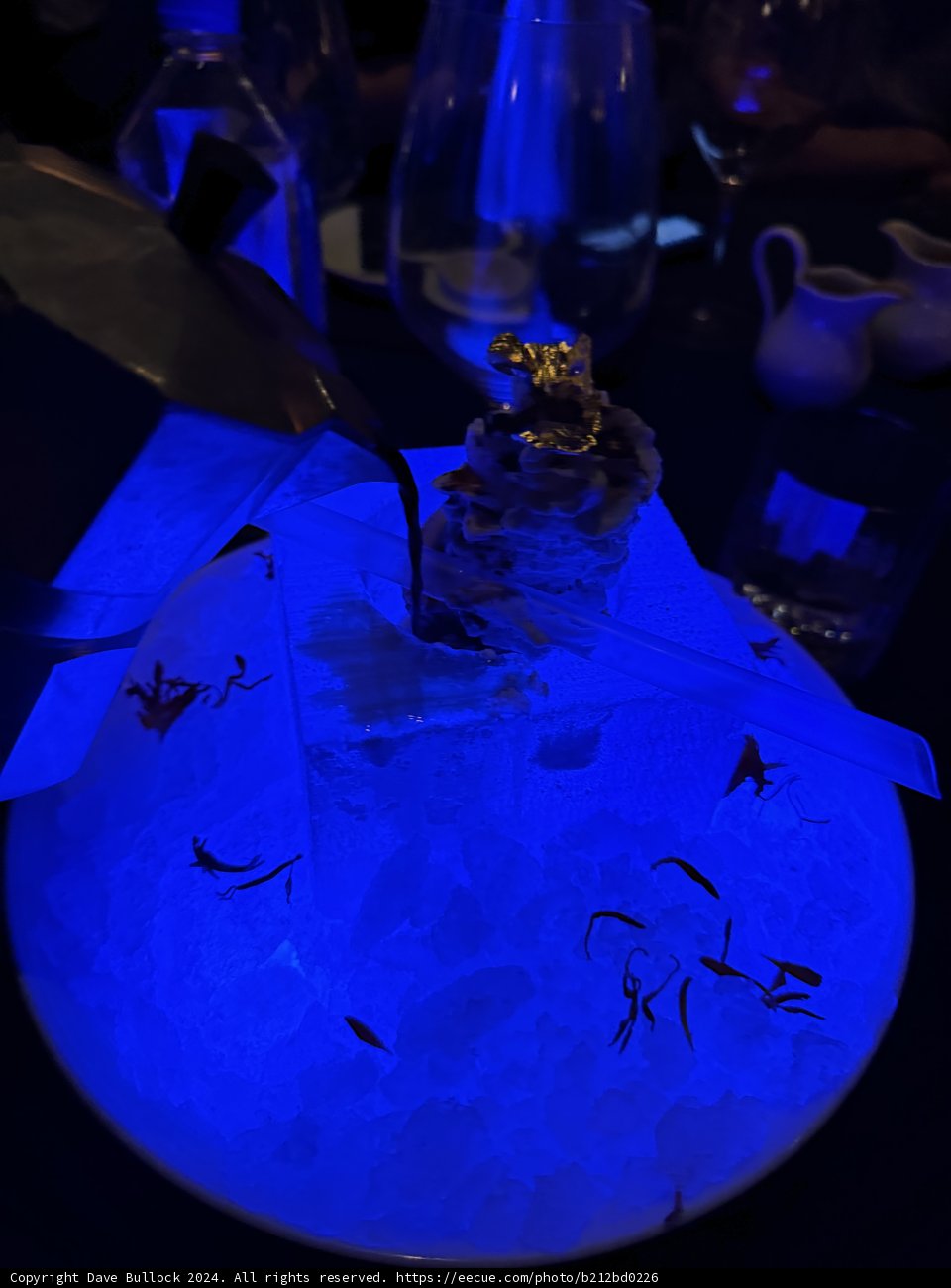 Illuminated Elegance