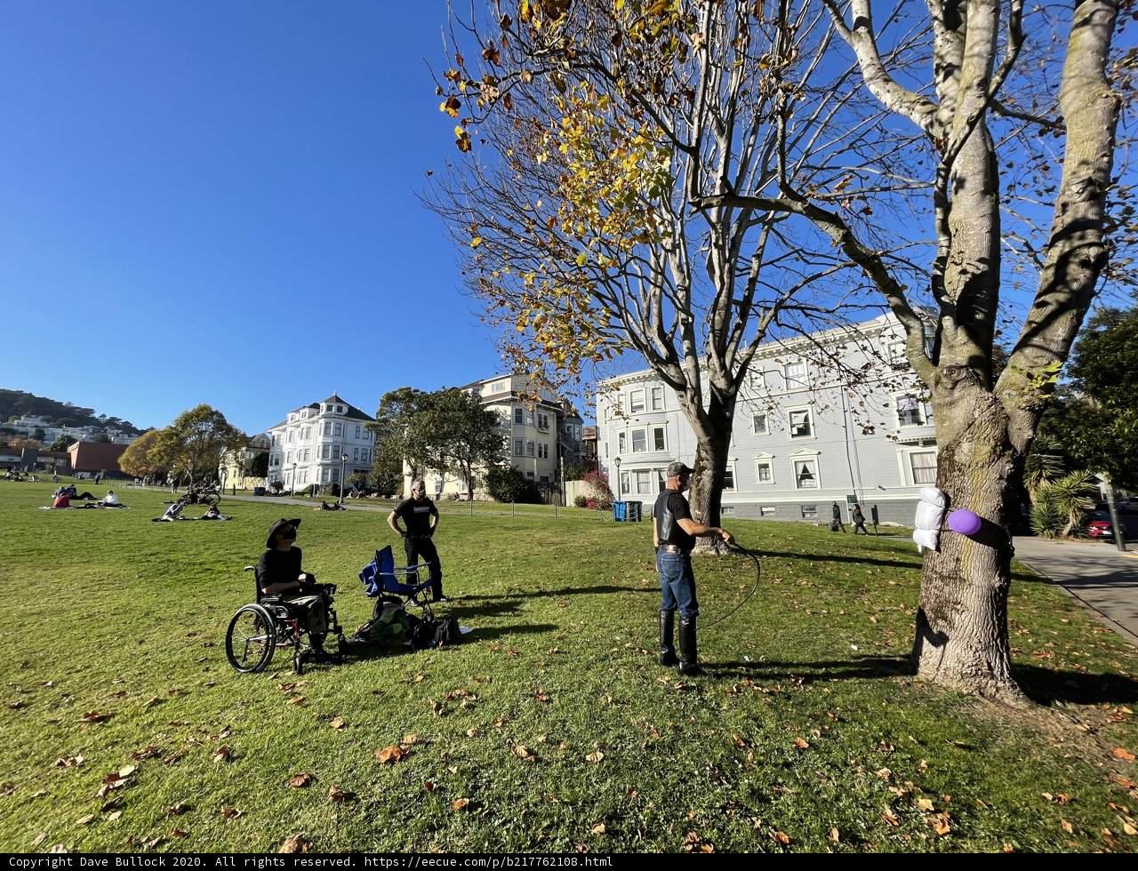 Park-goers enjoying a sunny day