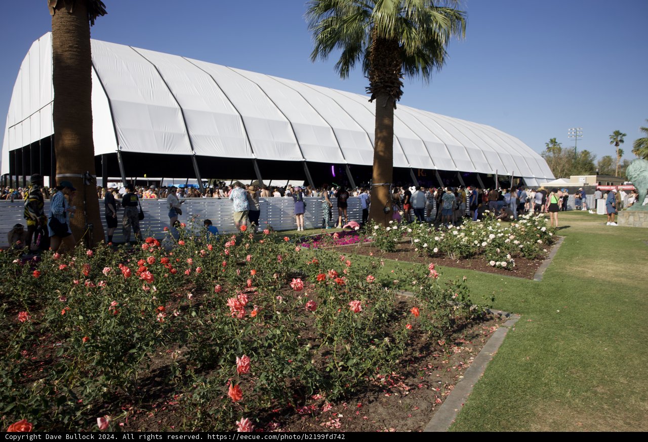 Floral Frames at Coachella 2024