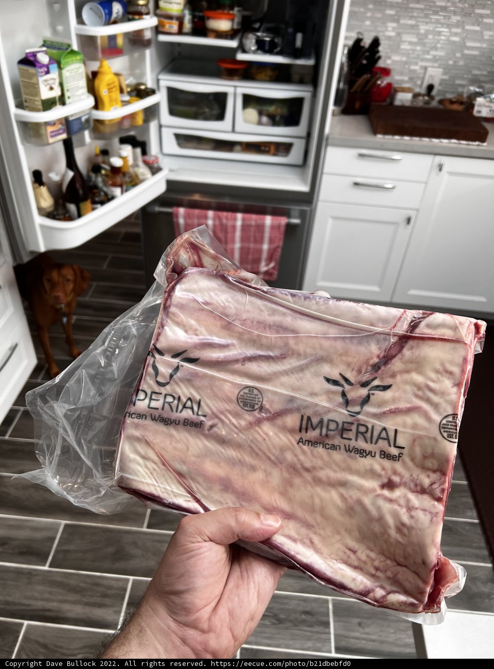 Meaty Pickings