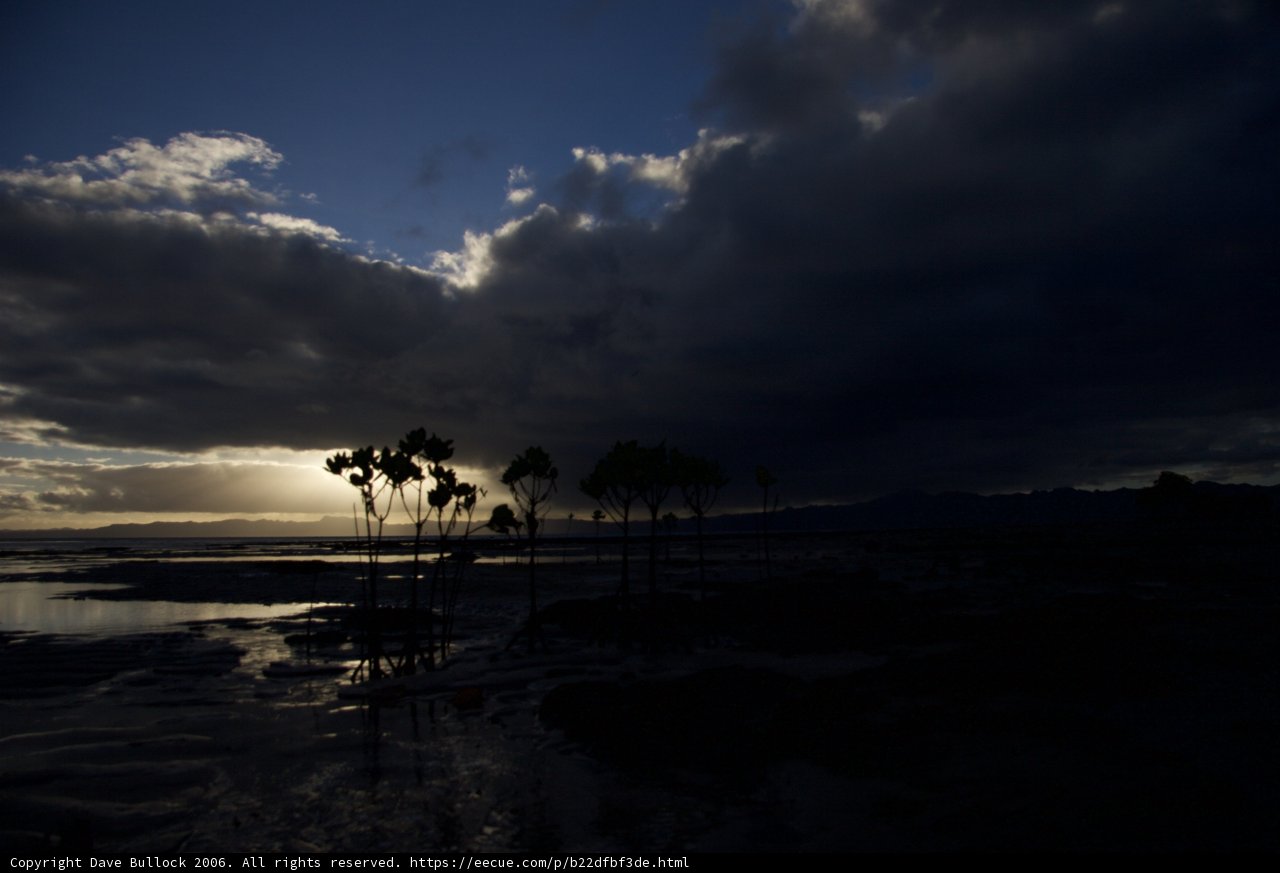 Moody Sky on the Beach
