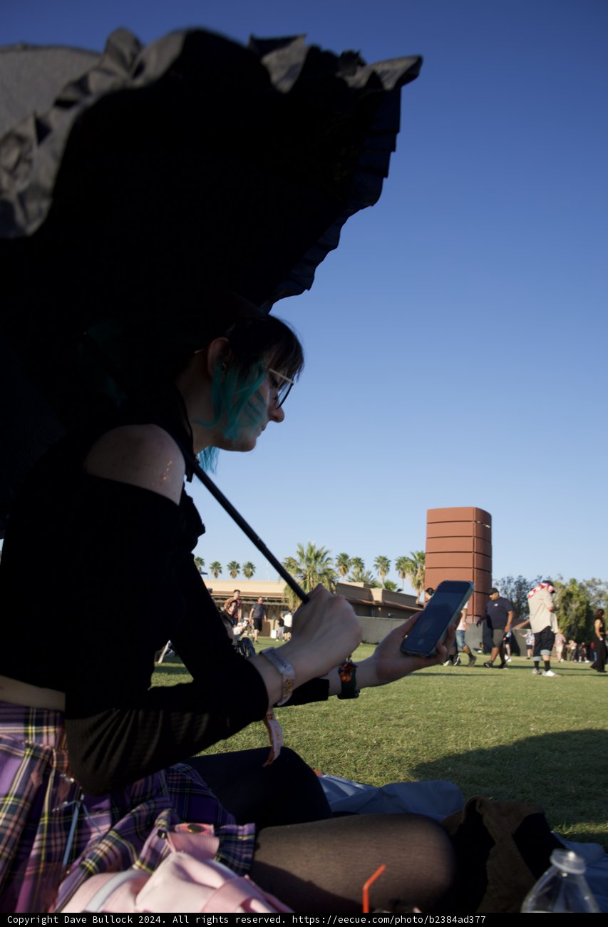 Connected Yet Disconnected: A Modern Solitude at Coachella 2024