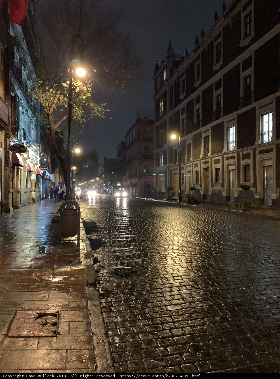 Night Life in the City
