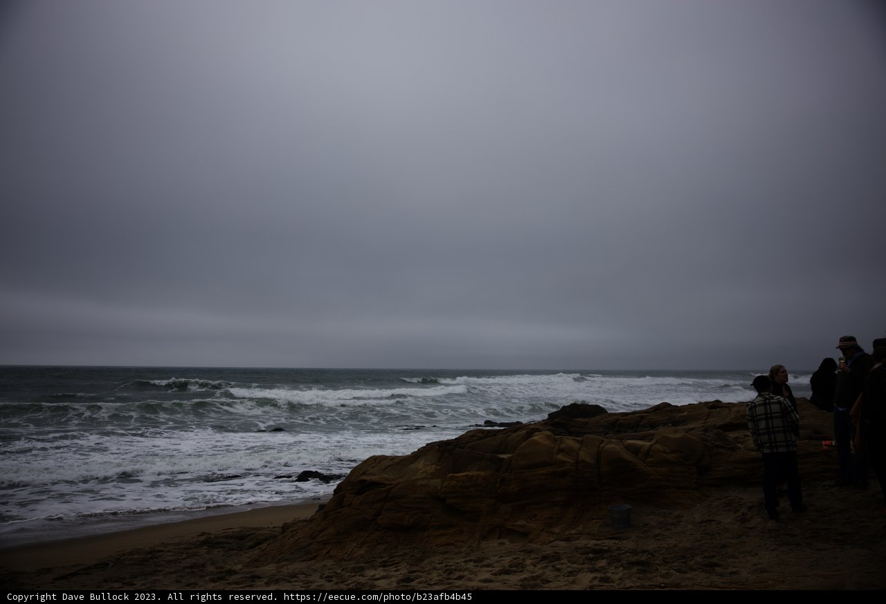 Coastal Companions Unite in Pescadero