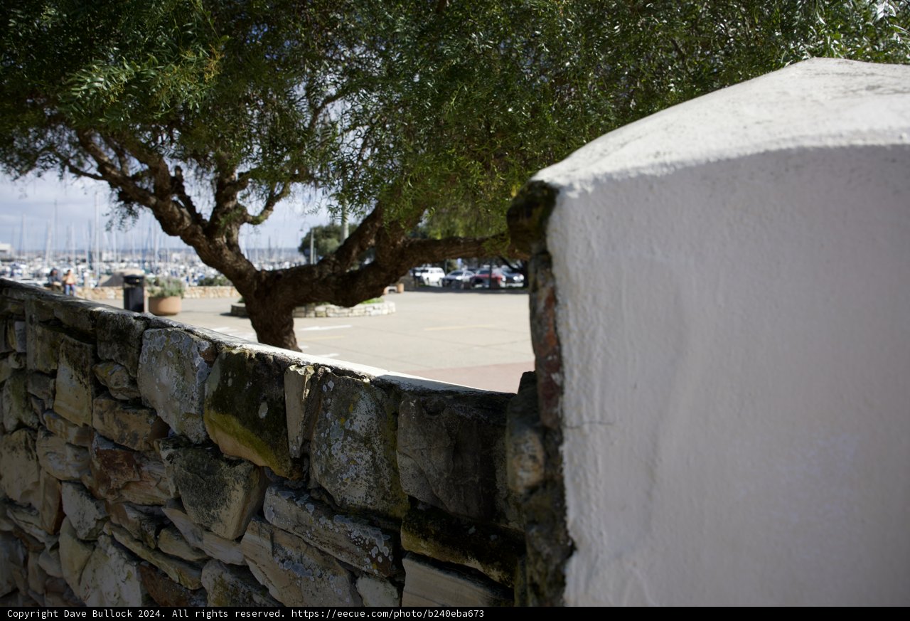 The Silent Witness of Growth and Journey