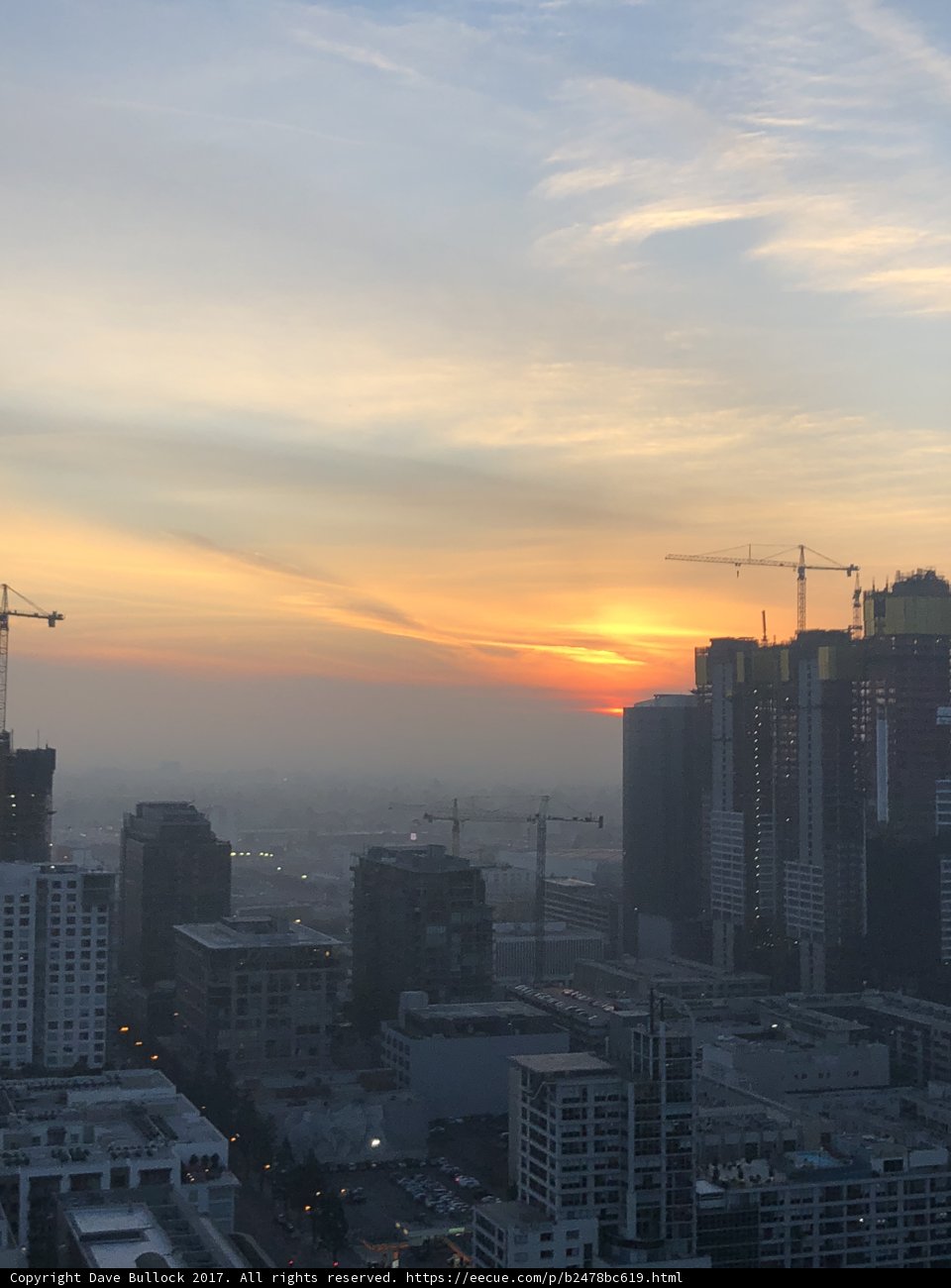 Dawn of a New Year