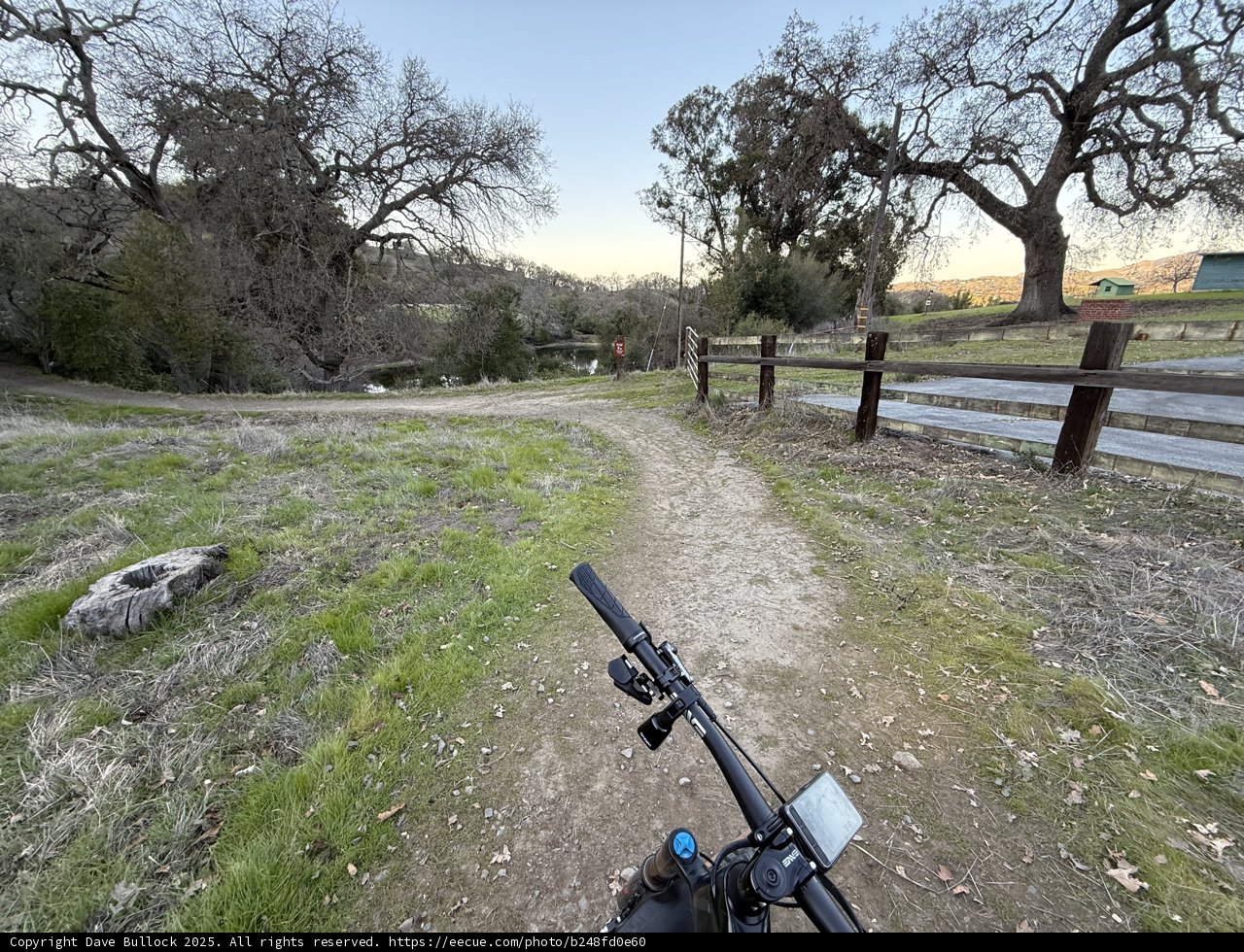 Tranquil Trails