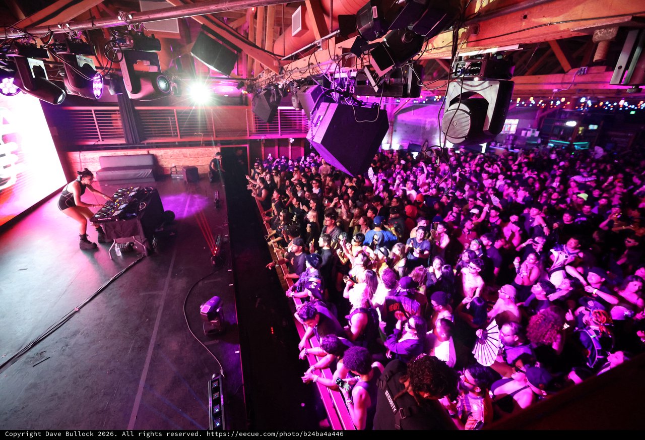 DJ Ignites Massive Crowd at Wobbleland 2026