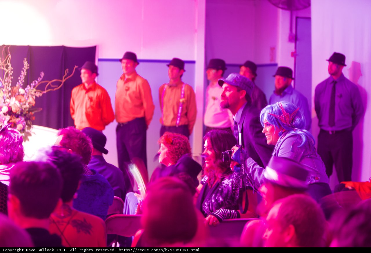 Purple Haze Celebration