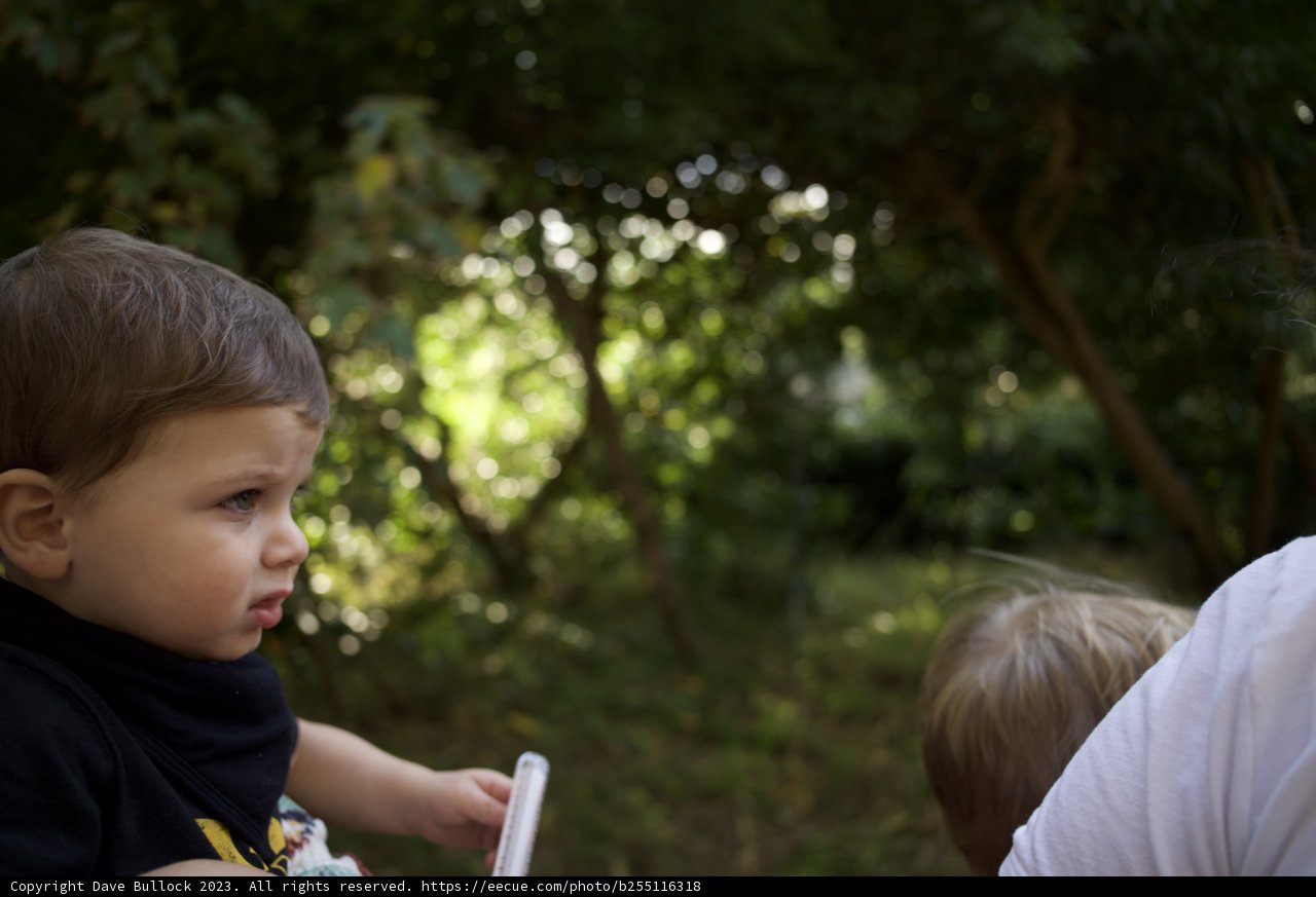 Cherished Moments at the SF Zoo