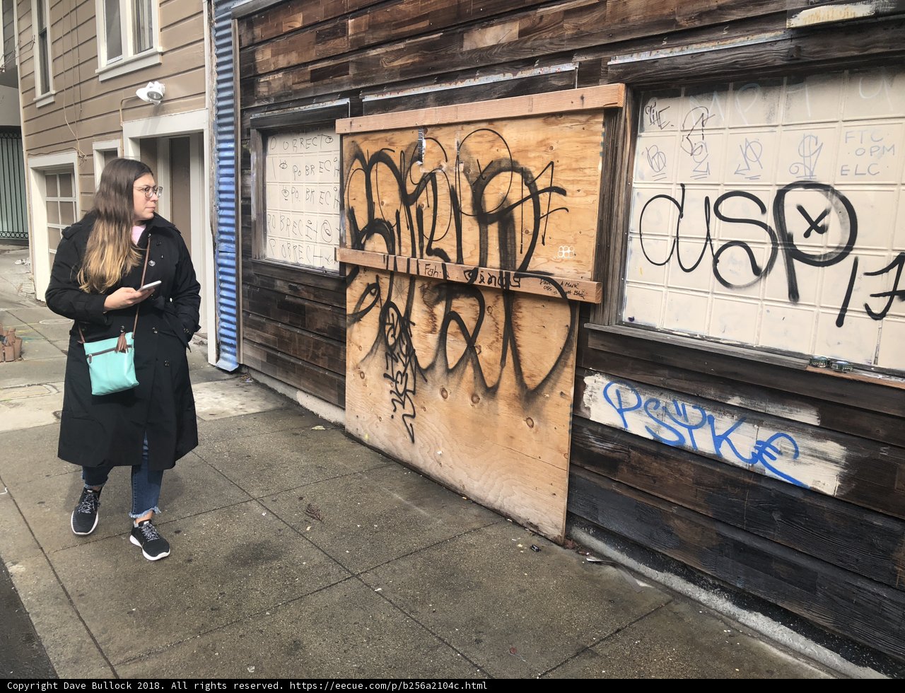 The Resilient Urbanite