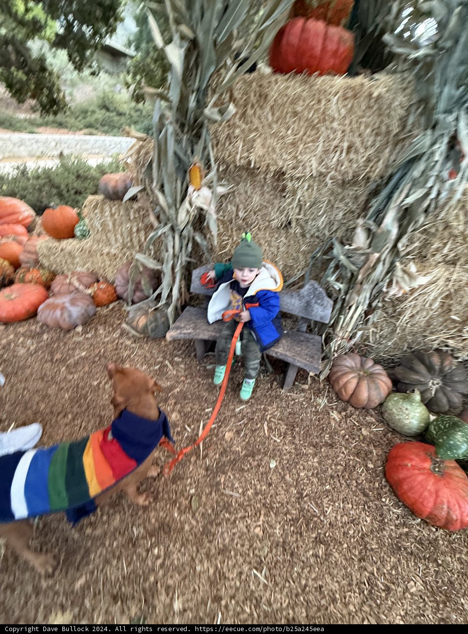 Harvest Adventures in Carmel