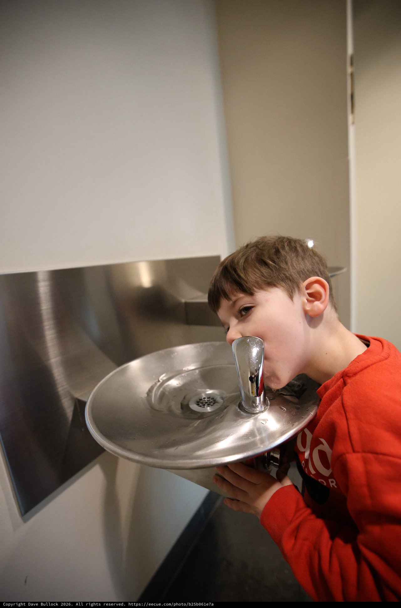Young Boy Drinking from Water Fountain at Museum