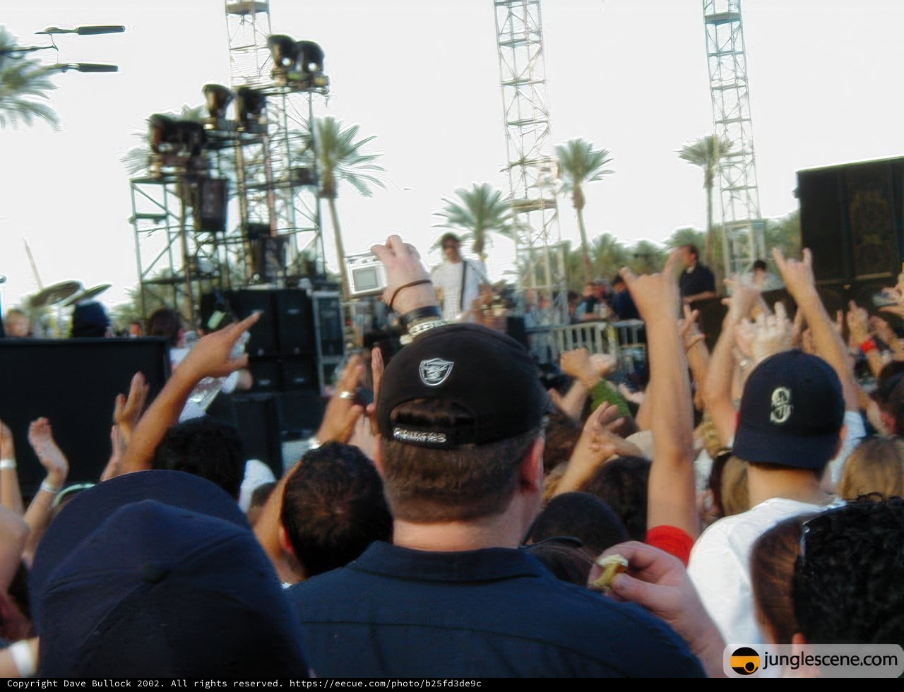 A Sea of Hats and Smiling Faces at Coachella 2002