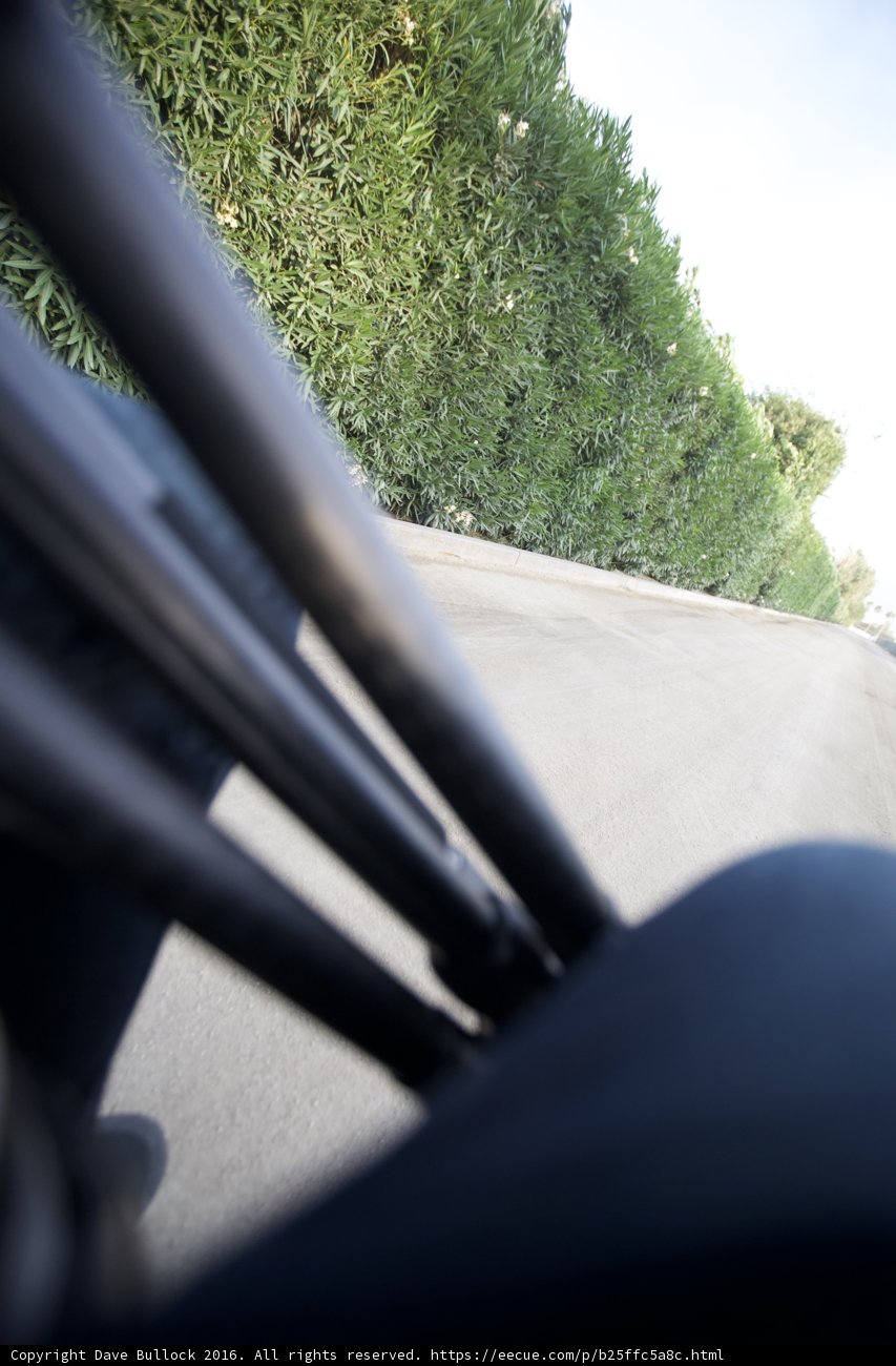 Riding Free