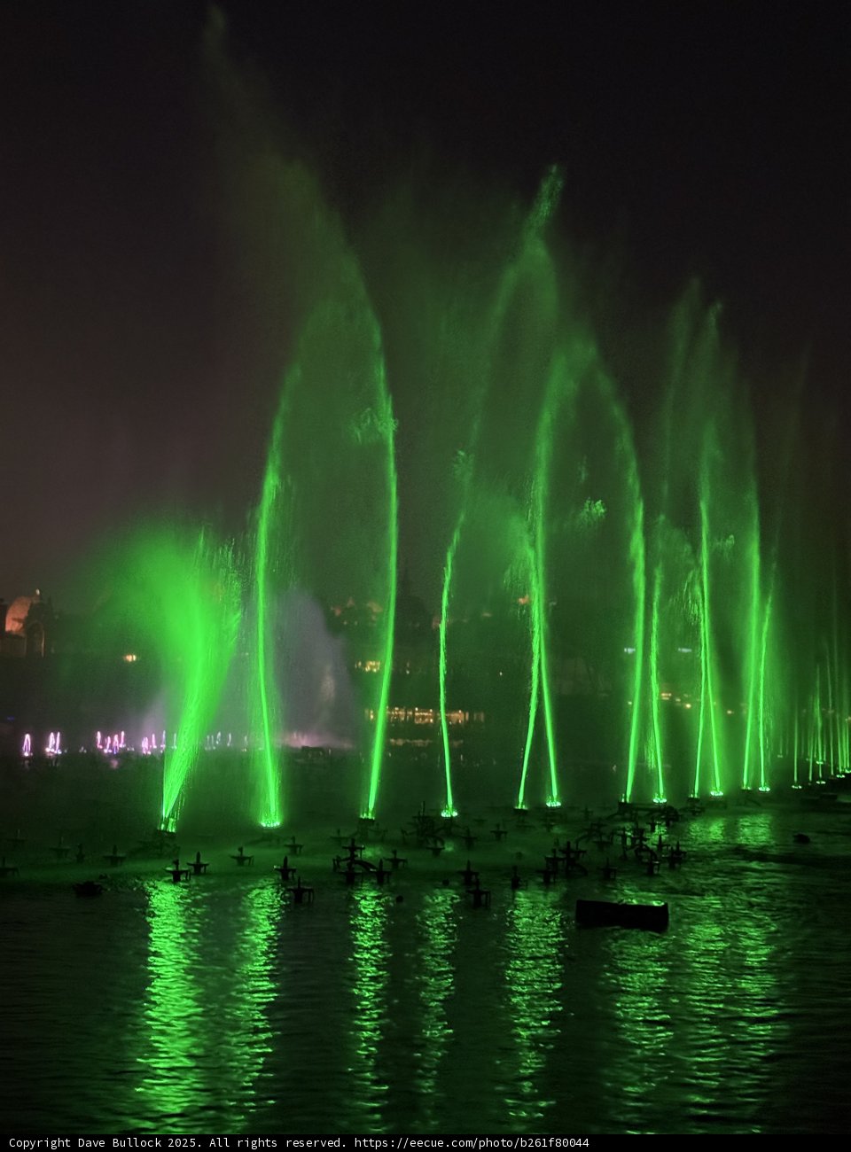 Nighttime Water Spectacle