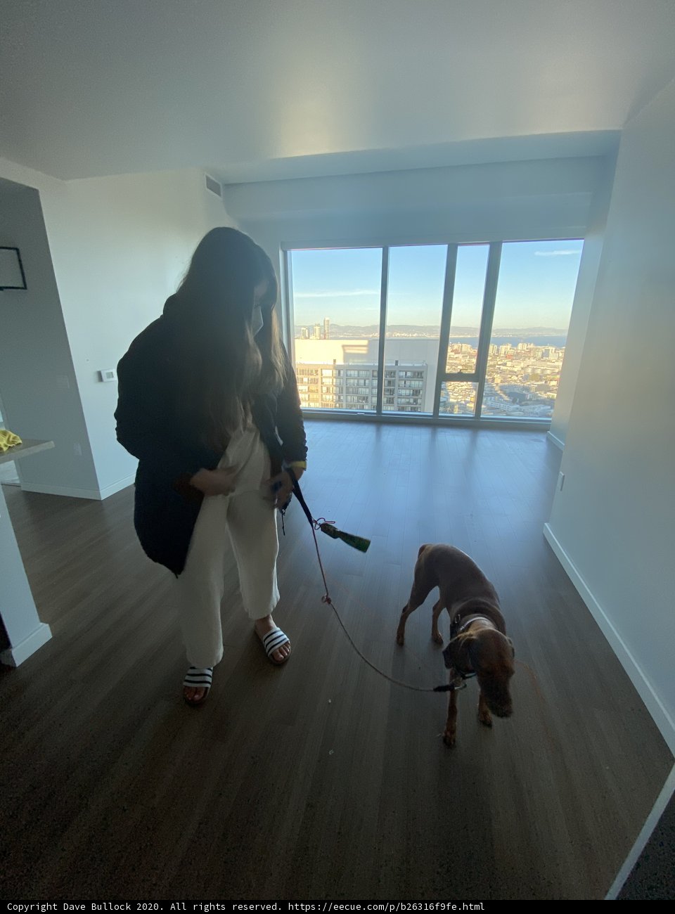 A Woman and Her Canine Companion