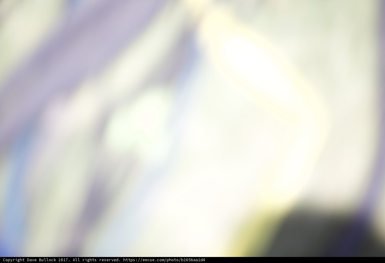 Blurred Steps