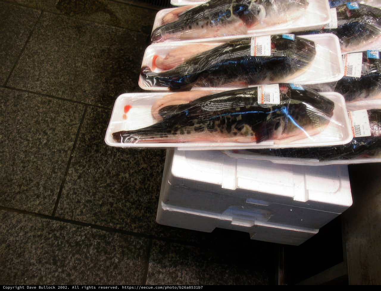 Fish galore at the market