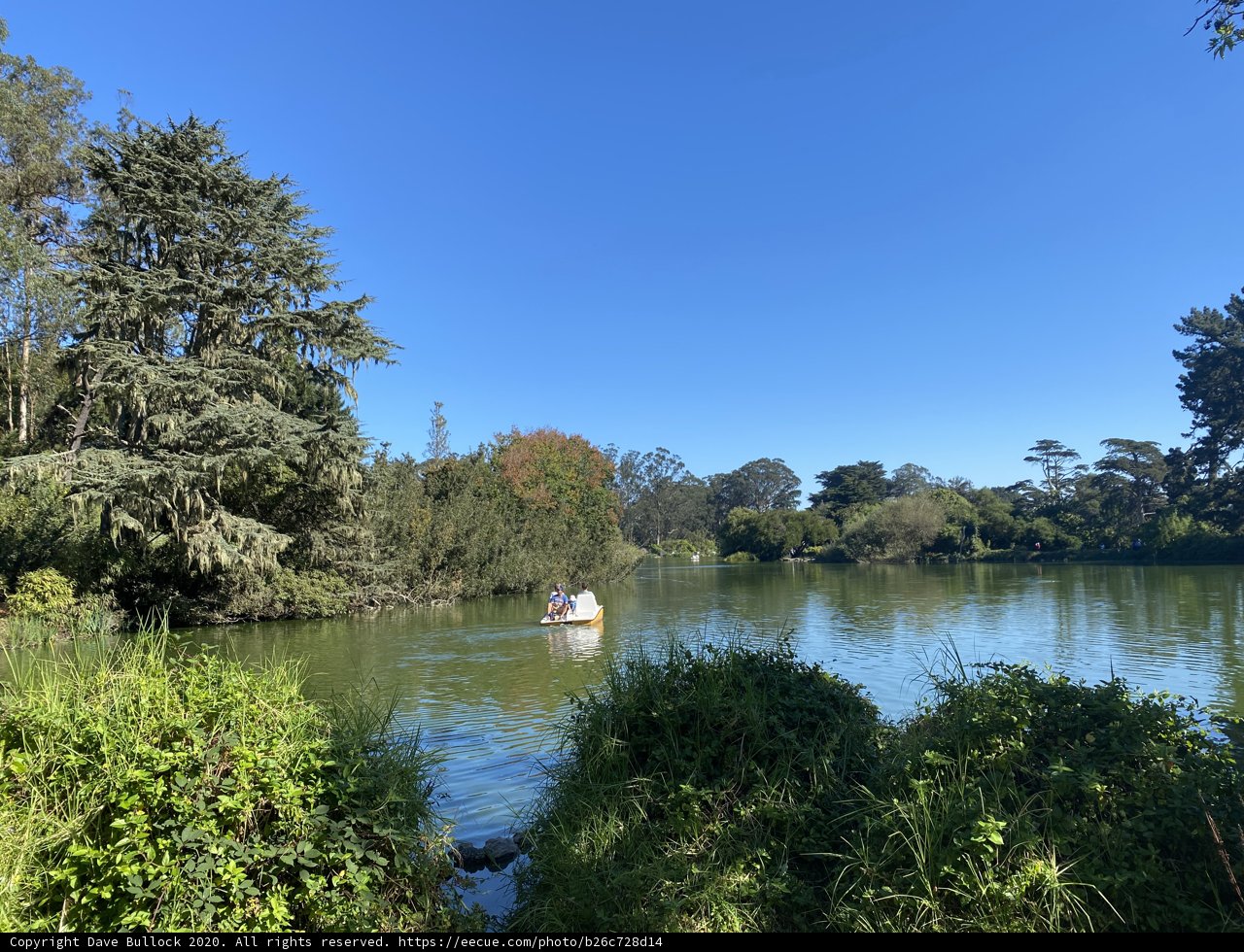 Serene Canoeing Adventure in the Heart of the City