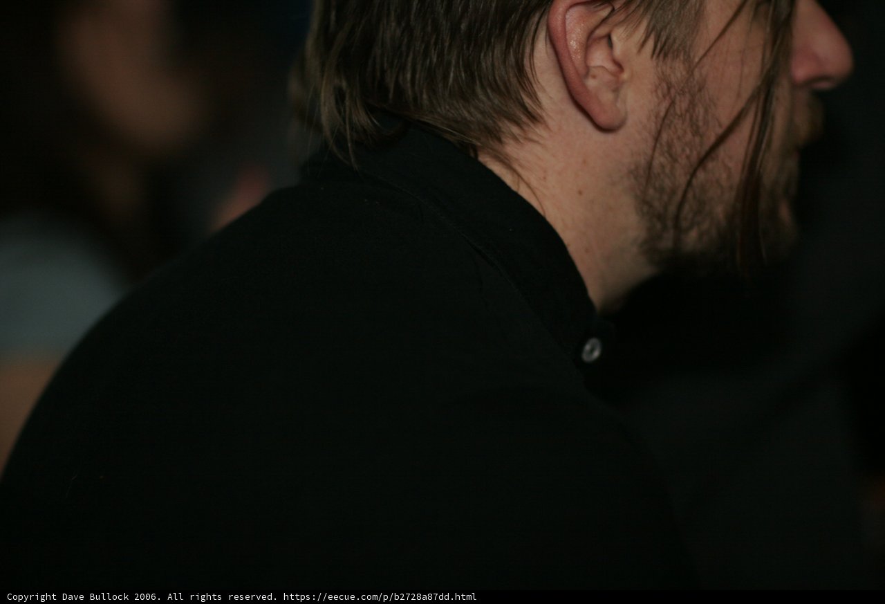 The Bearded Man