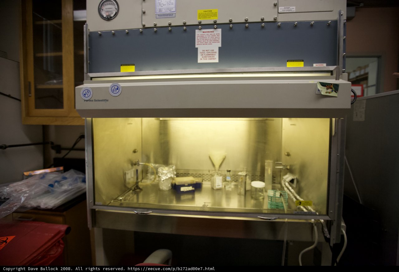 The Illuminated Lab