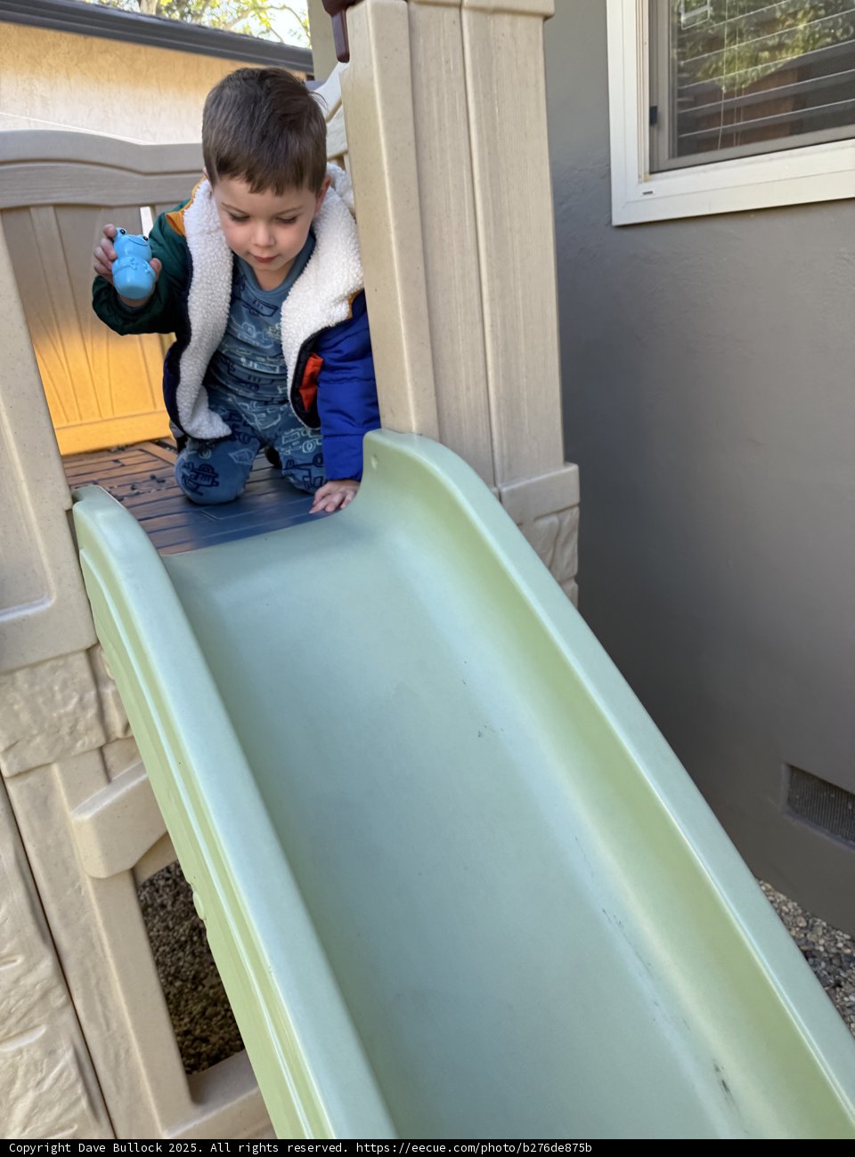 Excitement at the Playground