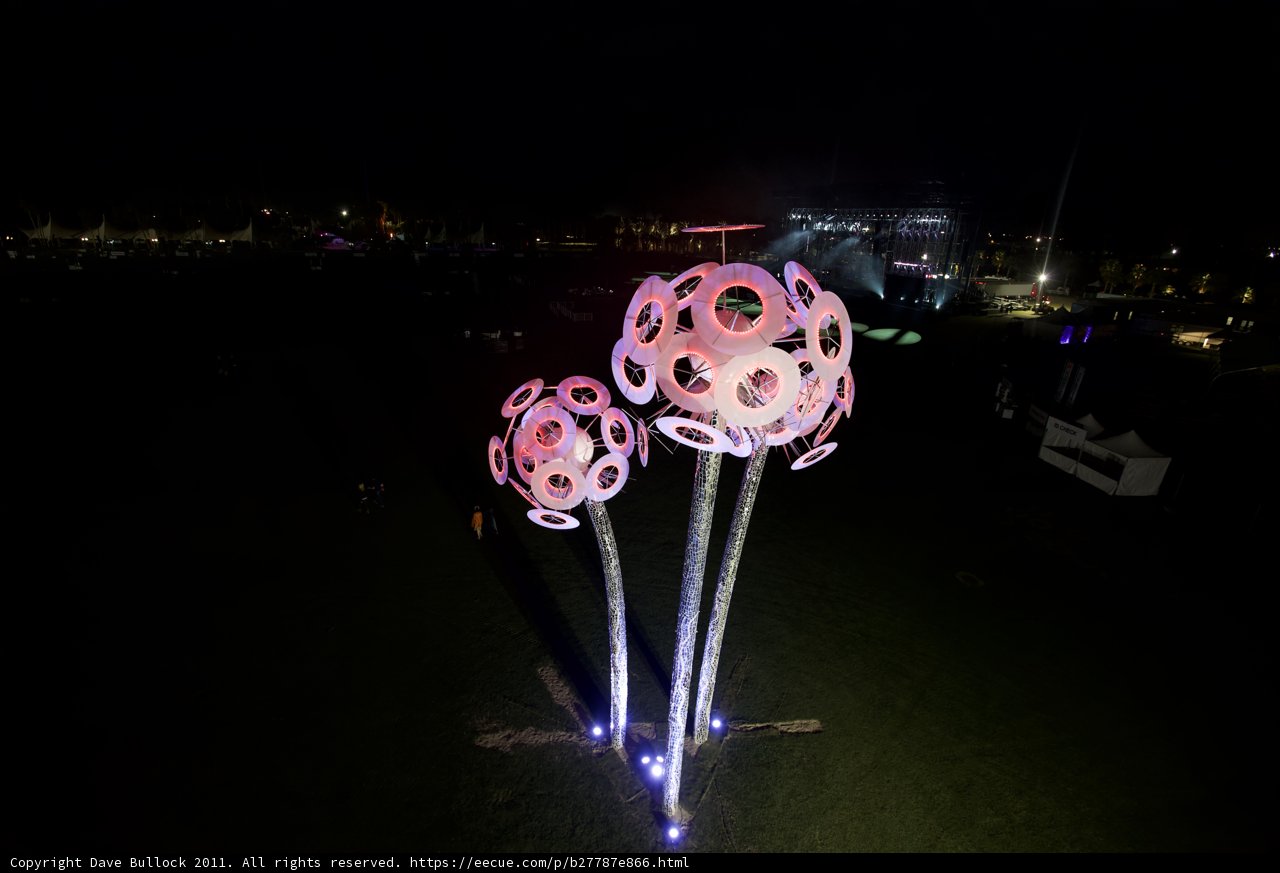 Illuminated Garden