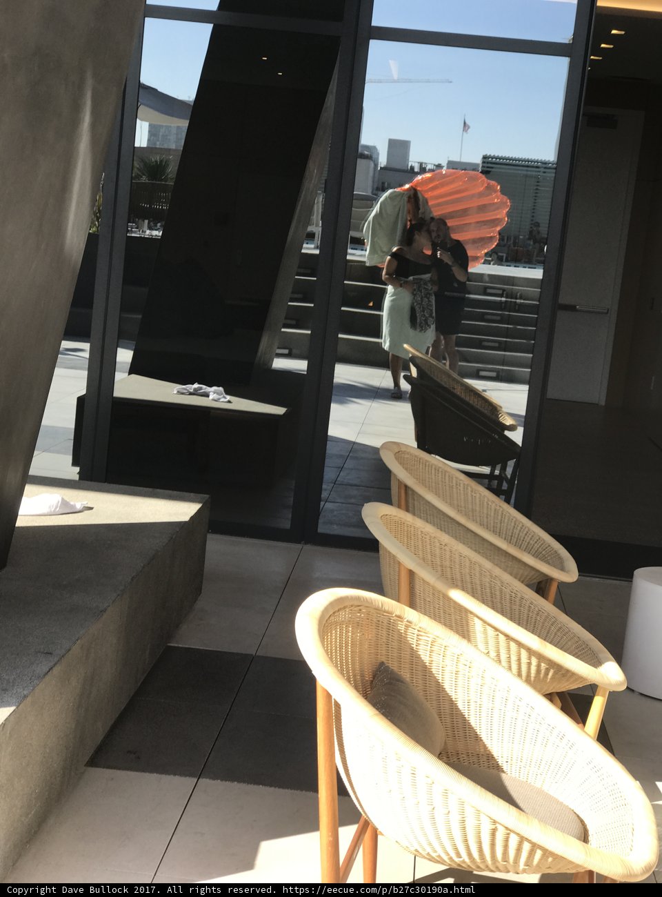 Serene Moments in Natural Light