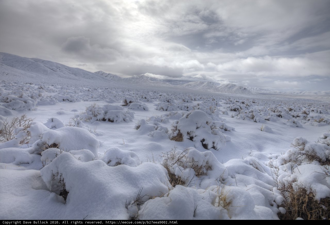 Snowy Serenity in the Desert Highlands