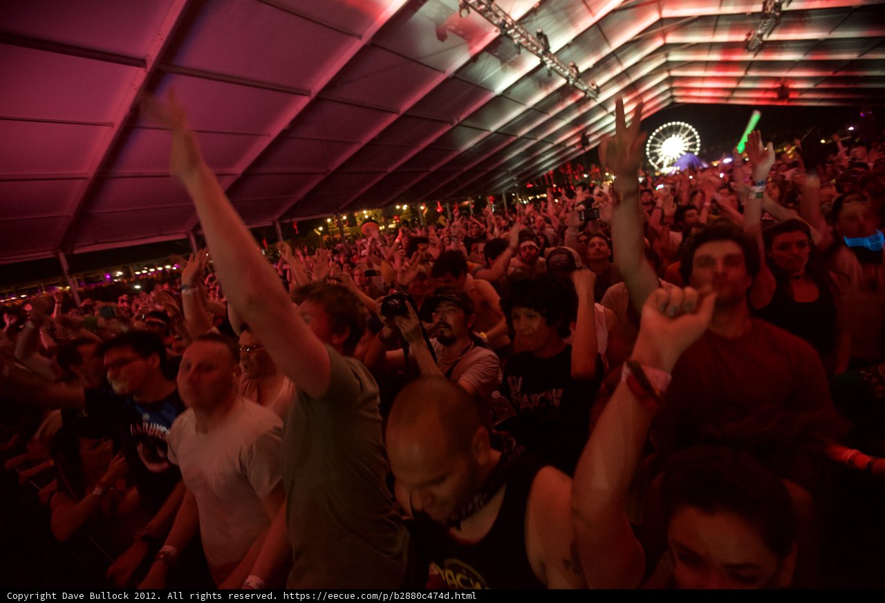 Coachella Crowd Goes Wild