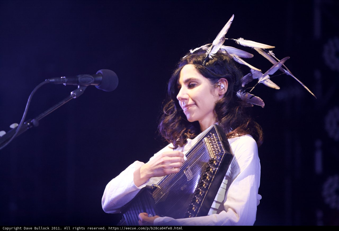 Feathered Serenade