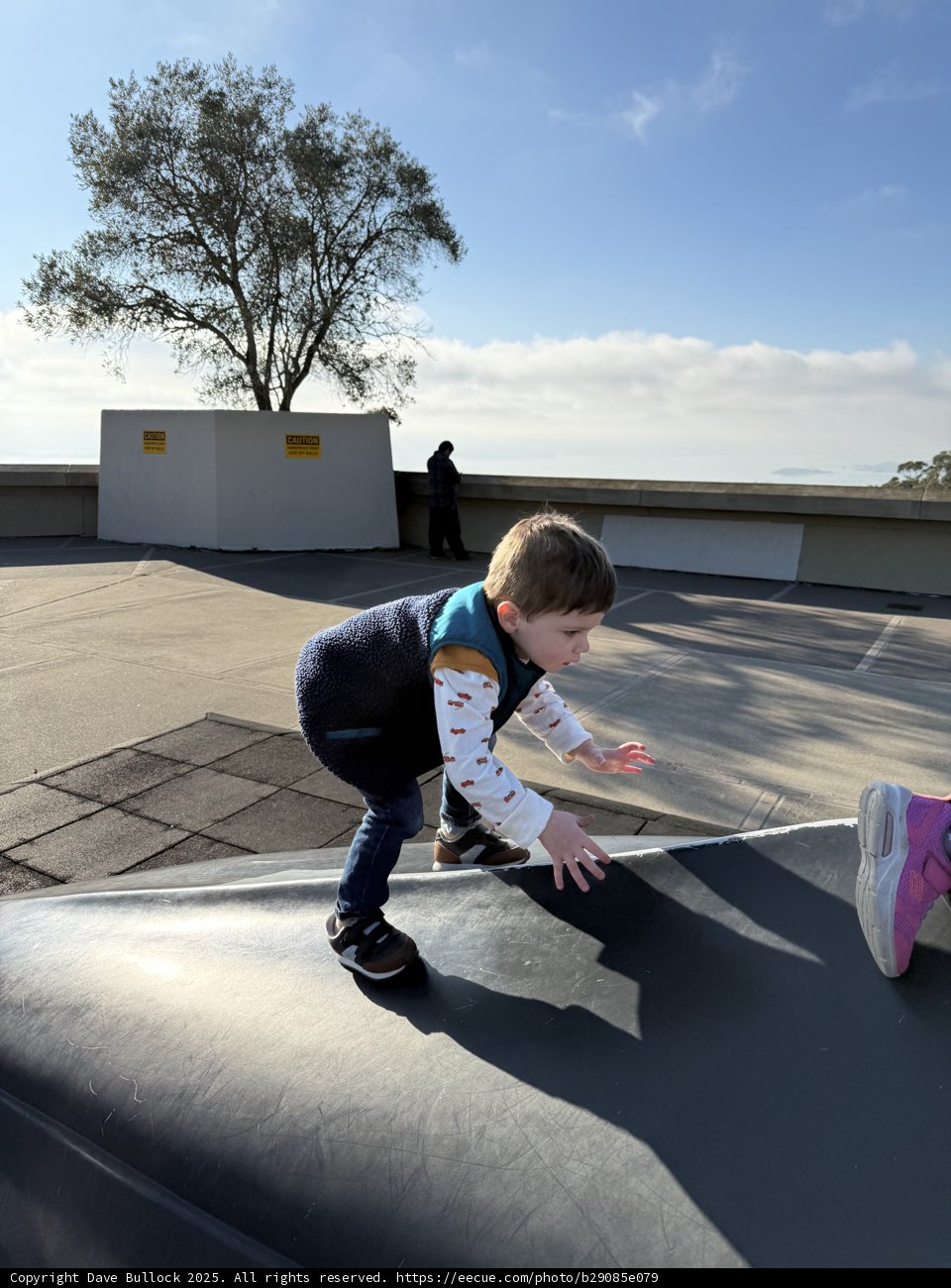 Playful Adventures at Lawrence Hall