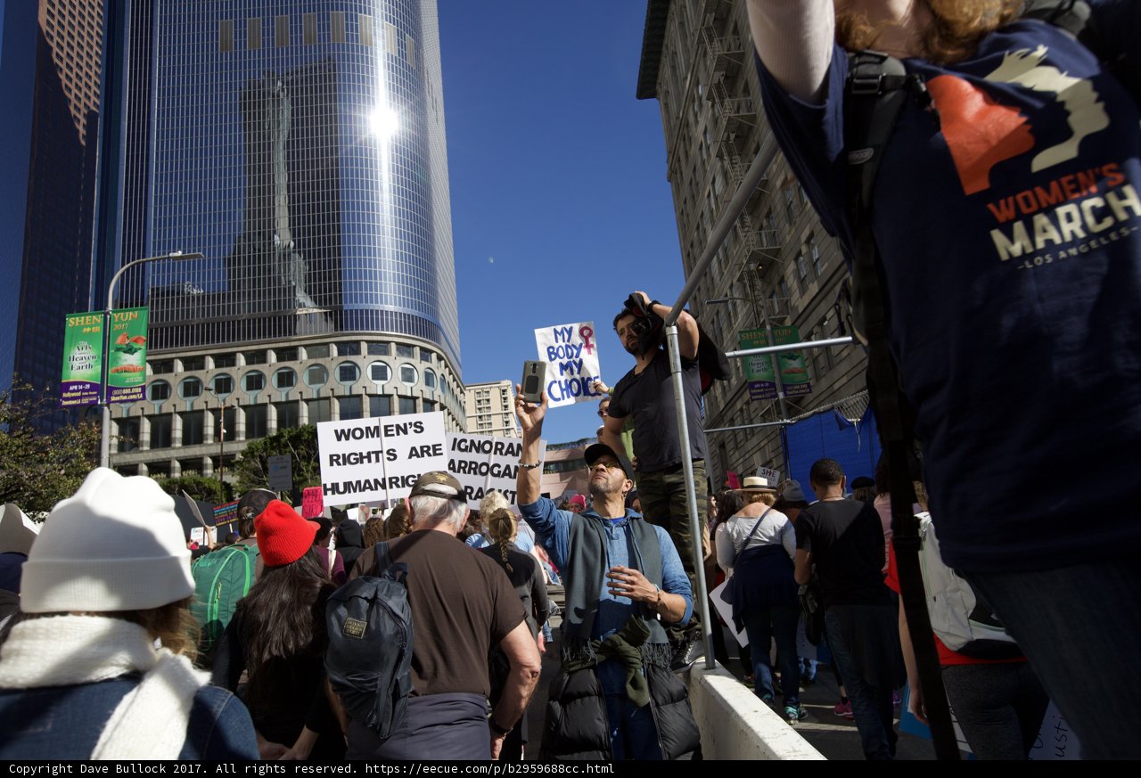 Women's March Protesters Rally in Metropolis