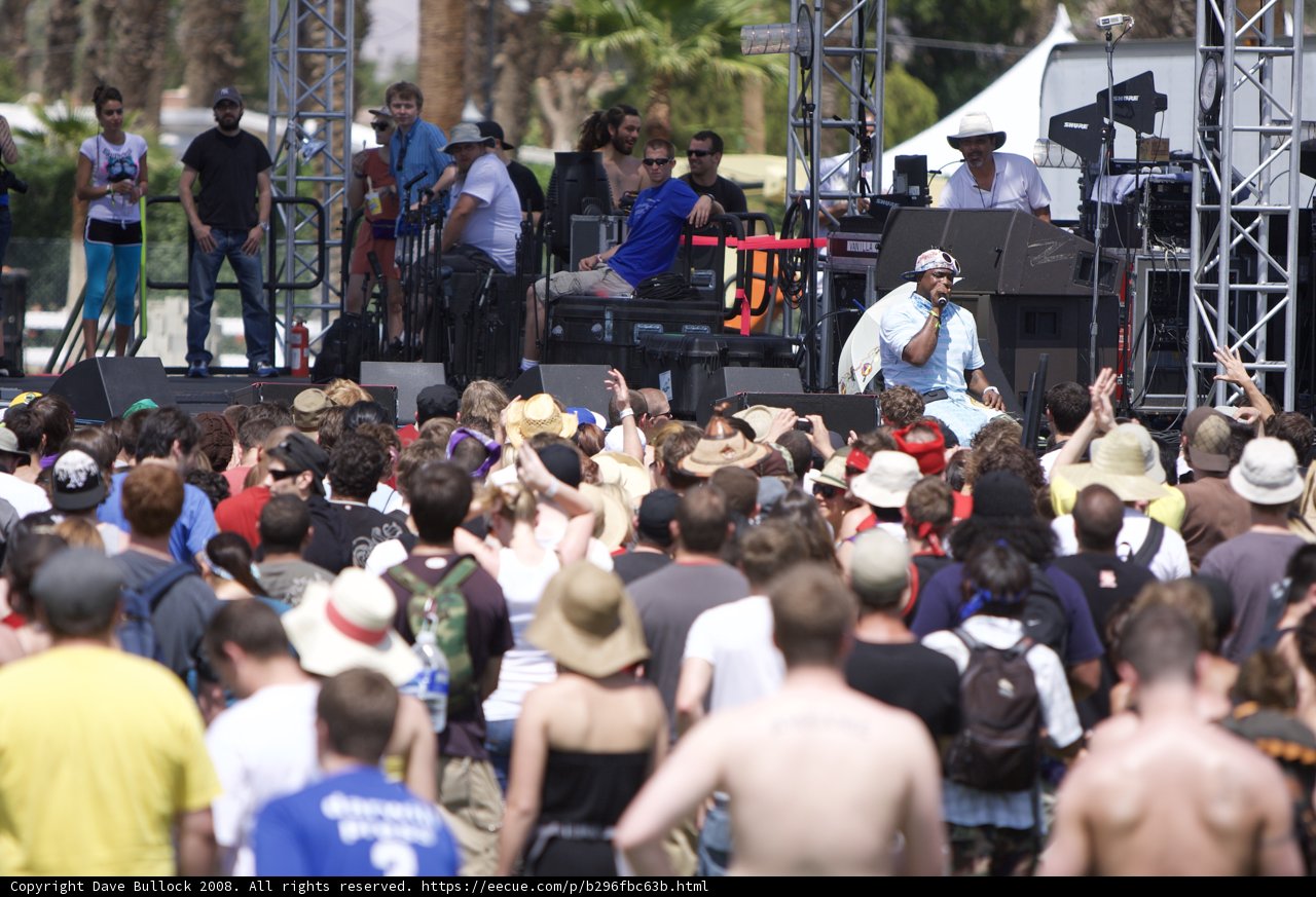 Festival-goers Enjoying the Music at 2008 Coachella