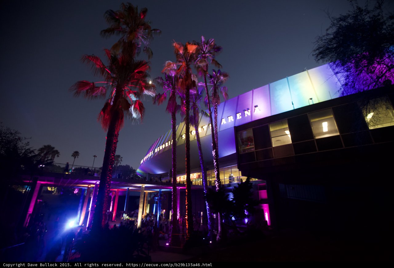 Arena and Palms at Night