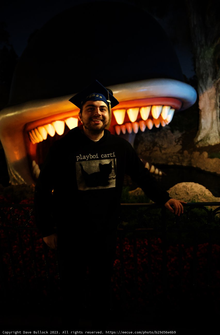 Unforgettable Encounter with the Mighty Shark