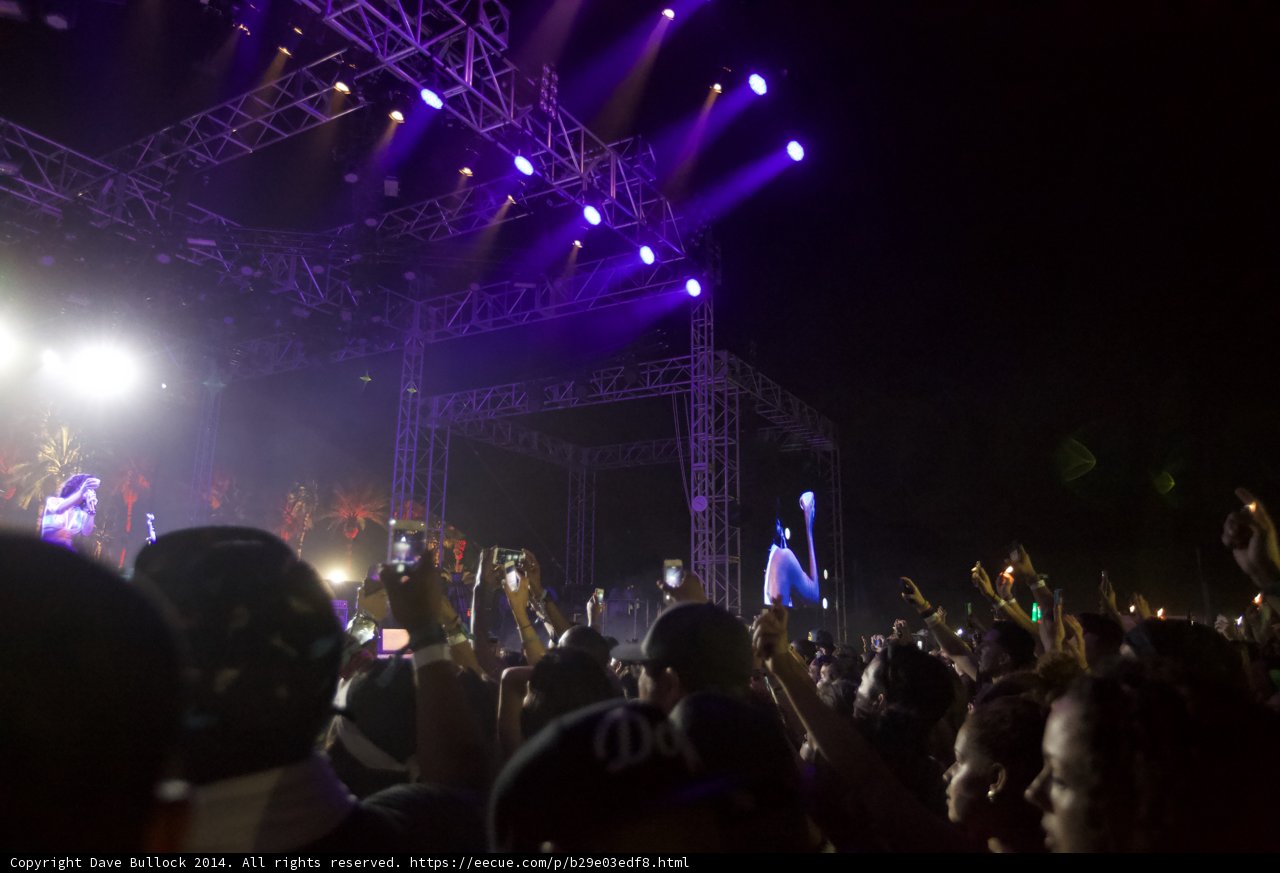 Rocking out with the Crowd