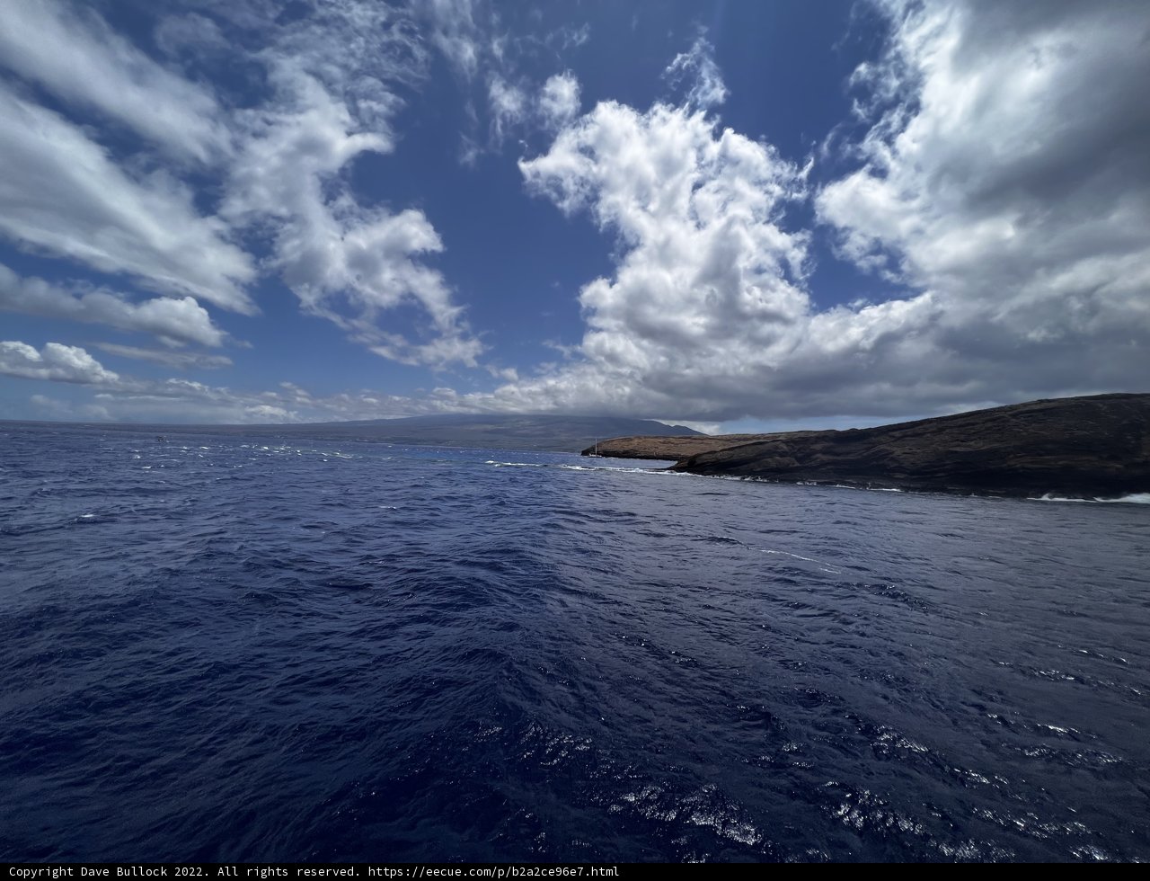 A Stunning View of the Hawaiian Sea
