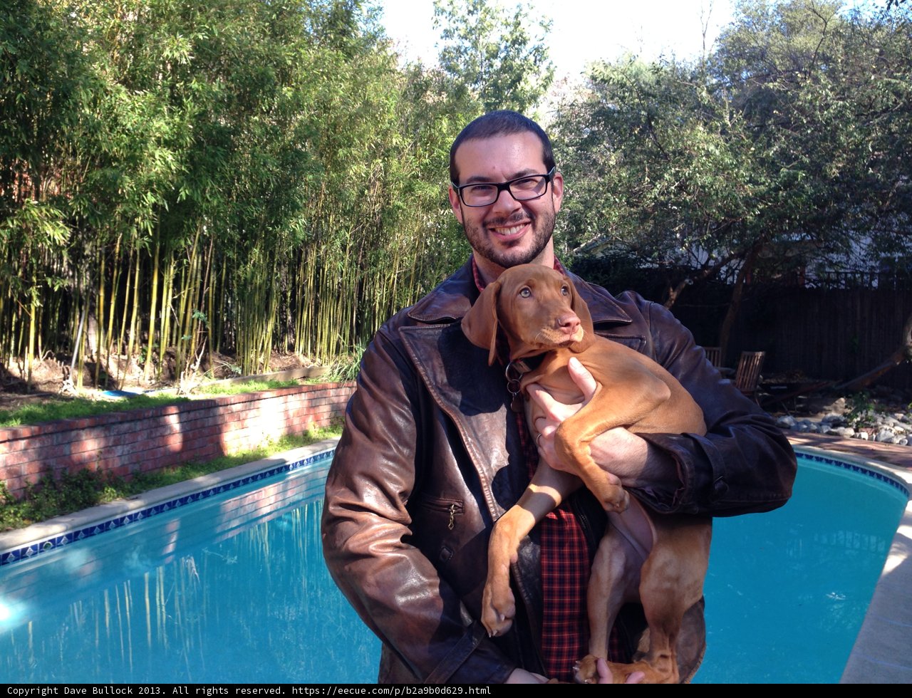 Man and his furry companion by the pool