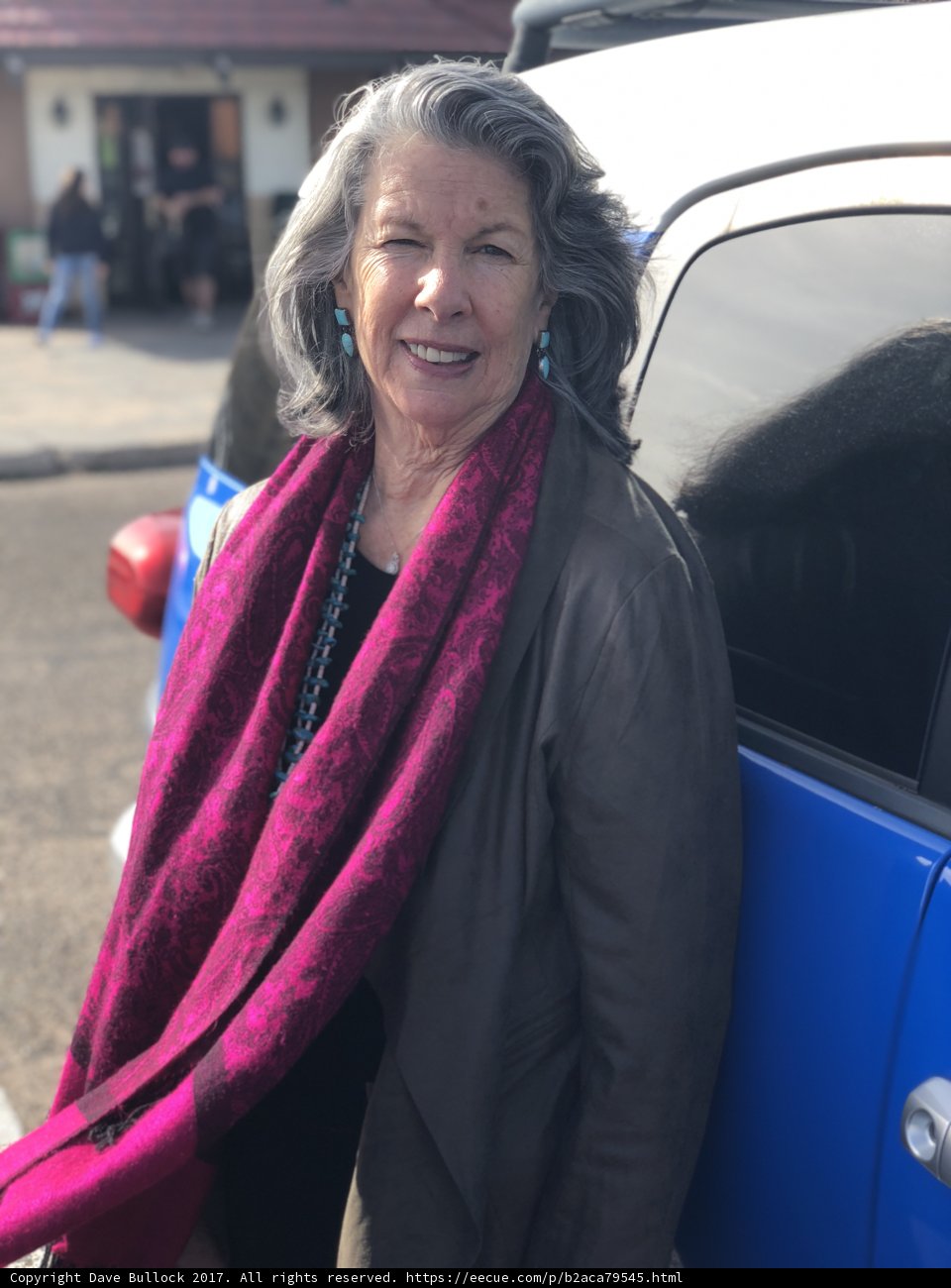 Blue Van and a Fashionable Lady